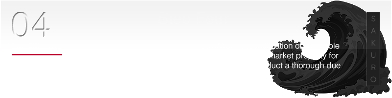 Due Diligence